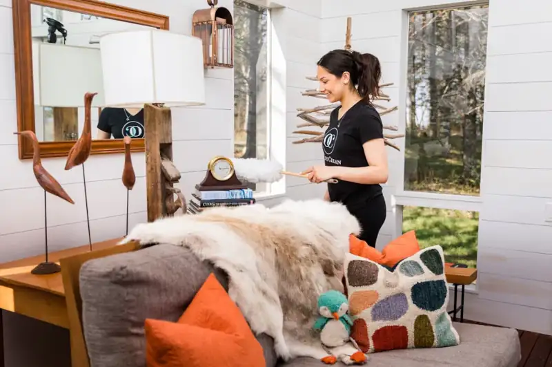 Interior home care by OrganiClean